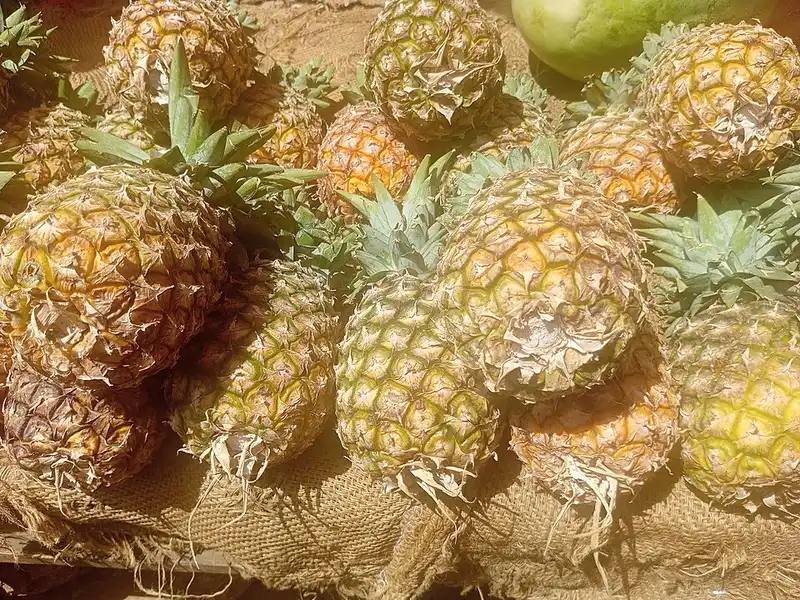 Ananas