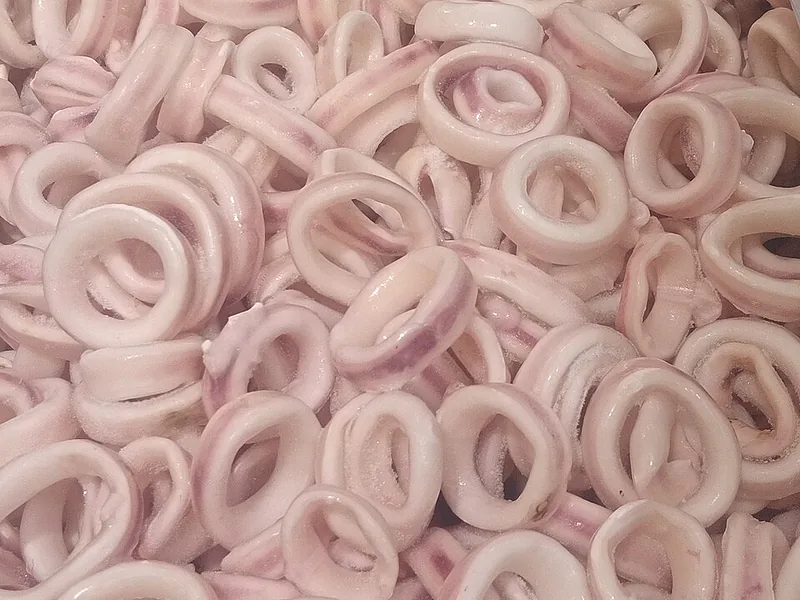 Calamars surgelés