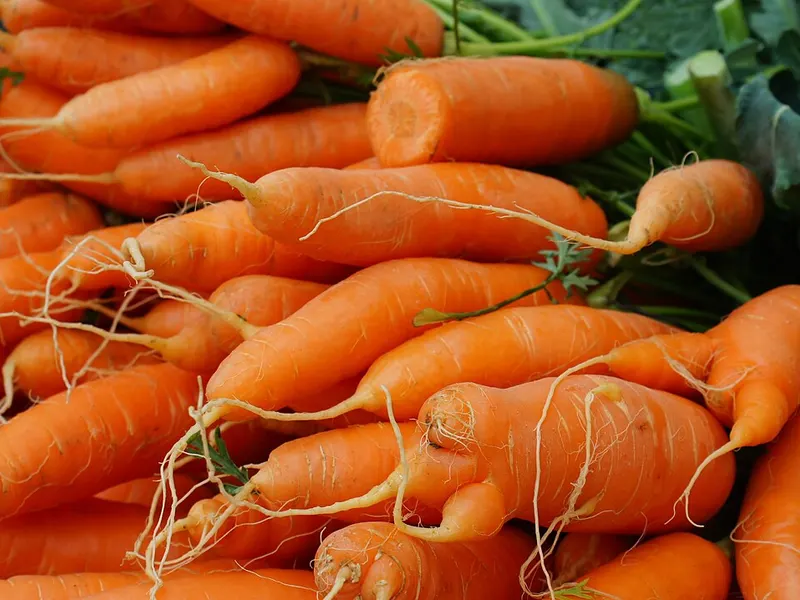 Carottes