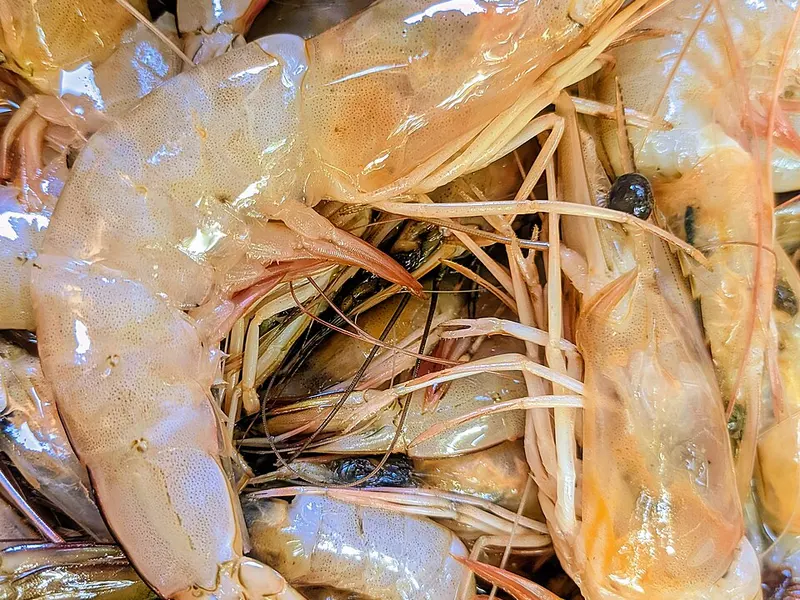 Crevettes