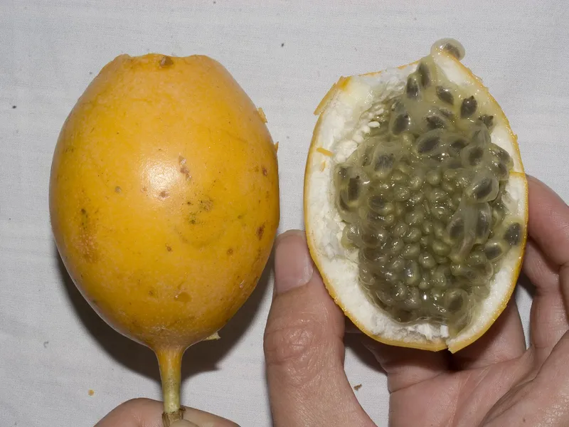 Fruits de la passion