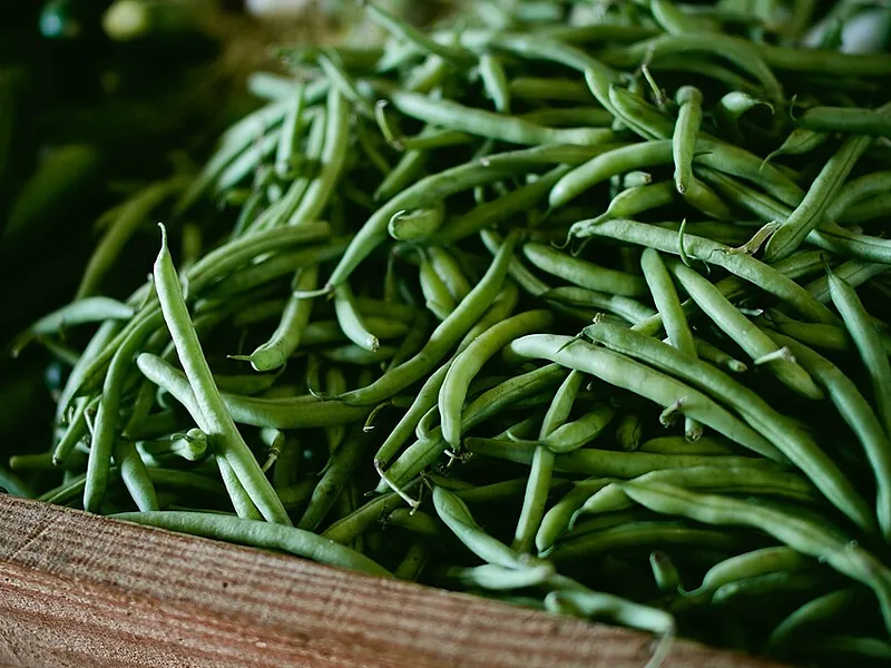 Haricots verts