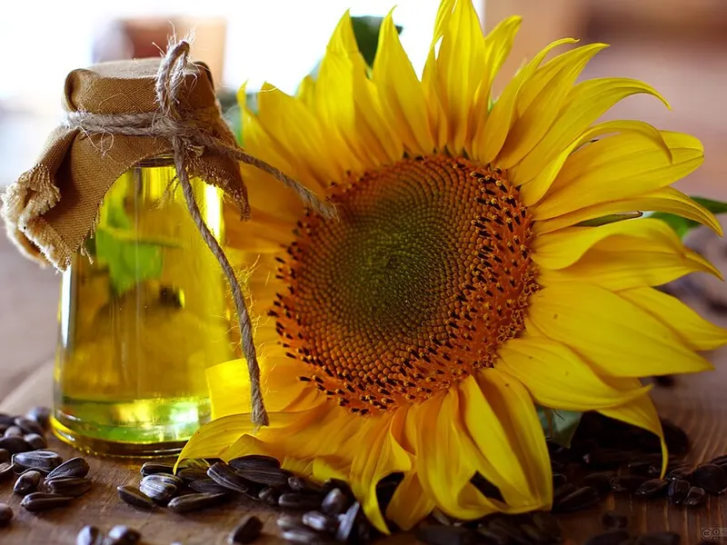 Huile de tournesol