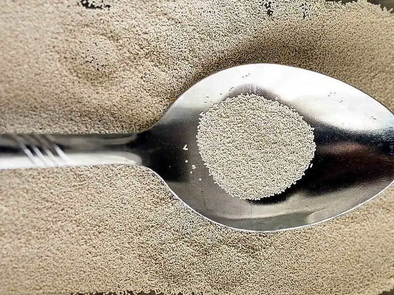 Levure boulangère sèche
