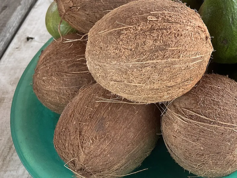 Noix de coco
