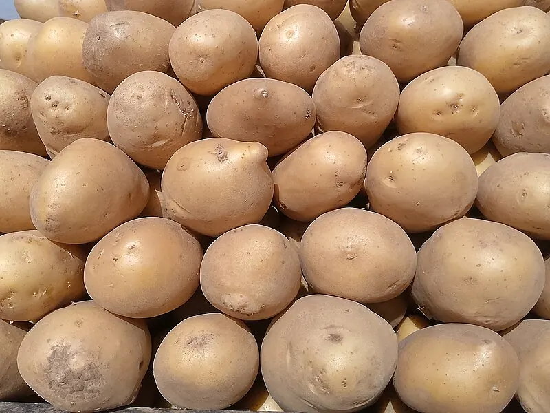 Pommes de terre