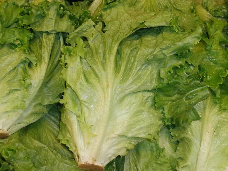 Salades
