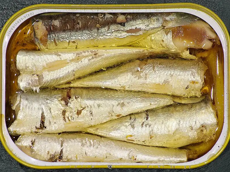 Sardines & maquereaux en conserve